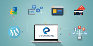 Maximizing Online Success with an Ecommerce SEO Consultant