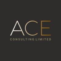 Ace Consulting: Empowering Businesses for Success Through Expert Guidance