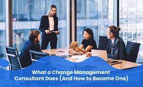 Driving Transformational Success: The Role of a Change Consultant in Navigating Organizational Change
