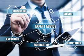 expert consulting
