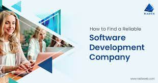 Driving Success with a Leading Software Development Company