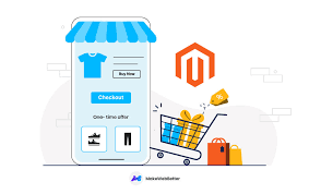 Unlocking Success: The Role of Magento Ecommerce Developers in Building Your Online Store