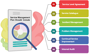 management services