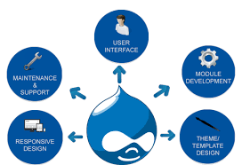 Empowering Your Online Presence: Drupal Web Development Agency Excellence