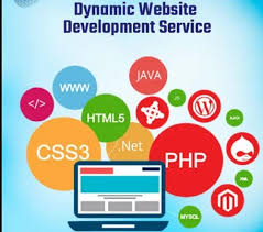 dynamic website development