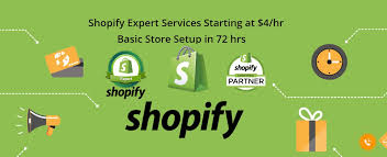 Unlocking Success: Leveraging the Expertise of Shopify Website Professionals